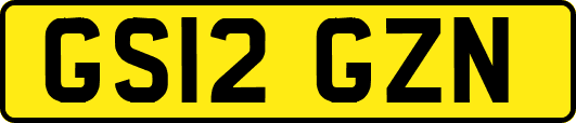 GS12GZN