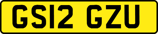 GS12GZU