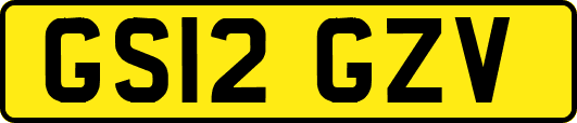 GS12GZV