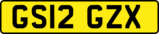 GS12GZX