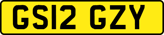 GS12GZY