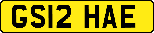 GS12HAE