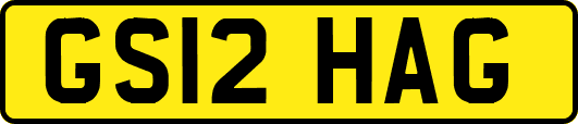 GS12HAG