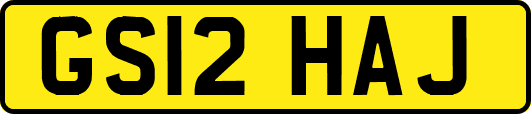 GS12HAJ