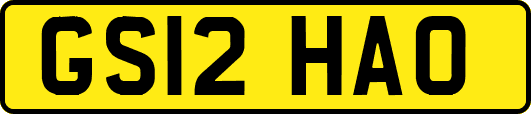 GS12HAO