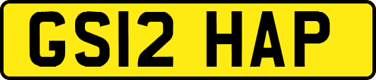 GS12HAP