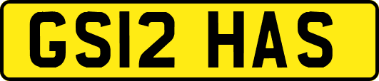 GS12HAS