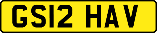 GS12HAV