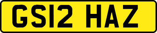 GS12HAZ