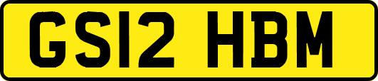 GS12HBM
