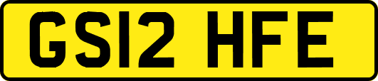 GS12HFE