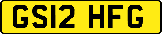GS12HFG