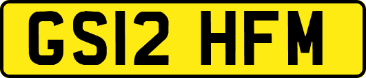 GS12HFM