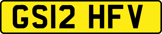 GS12HFV