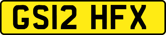 GS12HFX