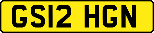 GS12HGN