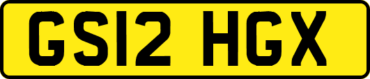 GS12HGX