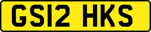 GS12HKS