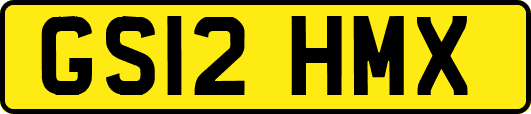 GS12HMX