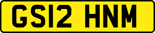 GS12HNM