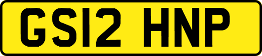 GS12HNP
