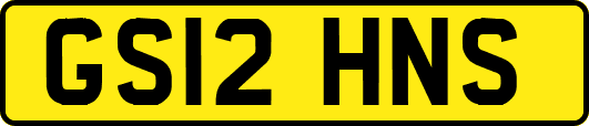 GS12HNS