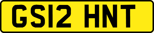 GS12HNT