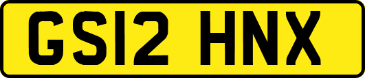 GS12HNX
