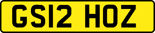 GS12HOZ
