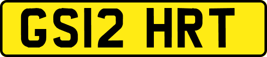 GS12HRT