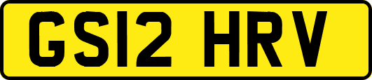 GS12HRV