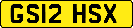GS12HSX