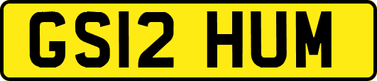 GS12HUM