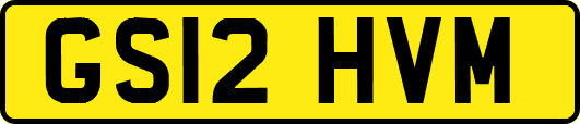 GS12HVM