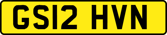 GS12HVN