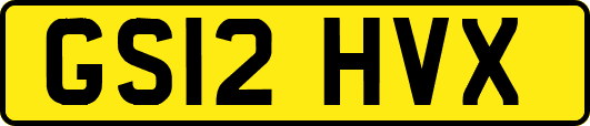 GS12HVX