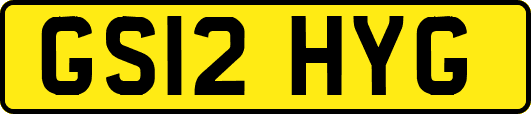 GS12HYG