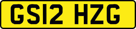 GS12HZG