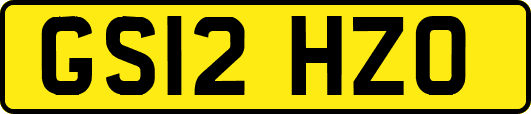 GS12HZO