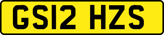 GS12HZS
