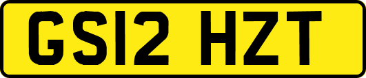 GS12HZT