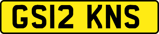 GS12KNS
