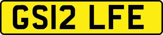 GS12LFE