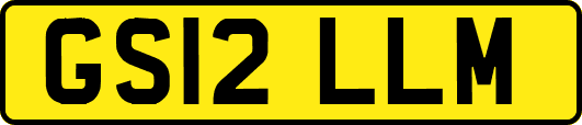 GS12LLM