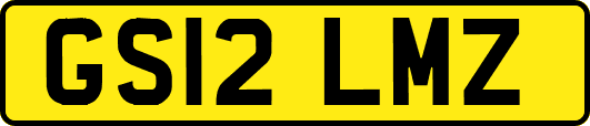 GS12LMZ