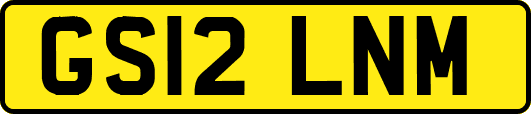 GS12LNM