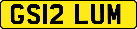 GS12LUM