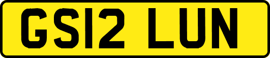 GS12LUN