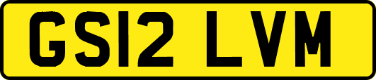 GS12LVM