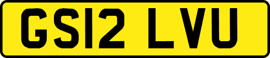GS12LVU